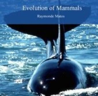 Evolution of Mammals main product photo