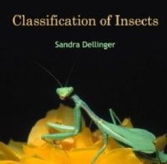 Classification of Insects