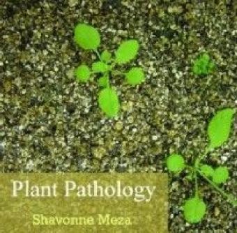 Plant Pathology