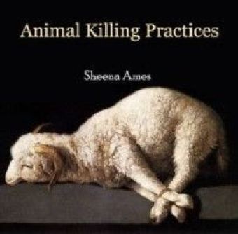 Animal Killing Practices