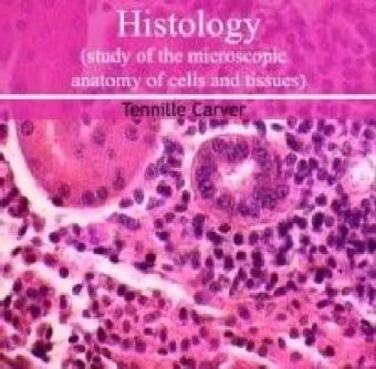 Histology (study of the microscopic anatomy of cells and tissues)
