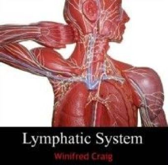 Lymphatic System