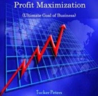 Profit Maximization (Ultimate Goal of Business)