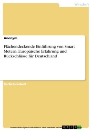 Flächendeckende Einführung von Smart Metern. Europäische Erfahrung und Rückschlüsse für Deutschland