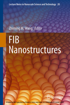 FIB Nanostructures