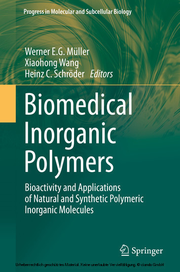Biomedical Inorganic Polymers main product photo