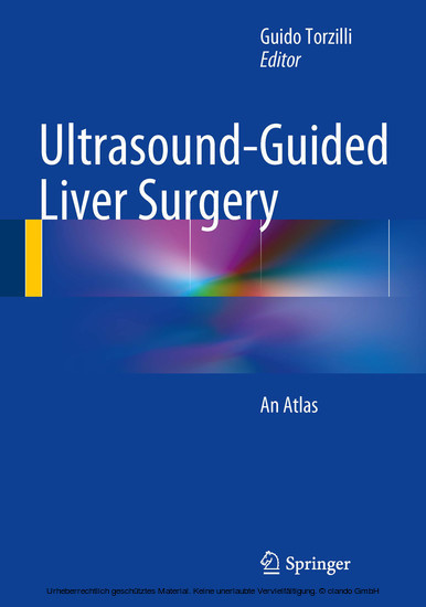 Ultrasound-Guided Liver Surgery main product photo