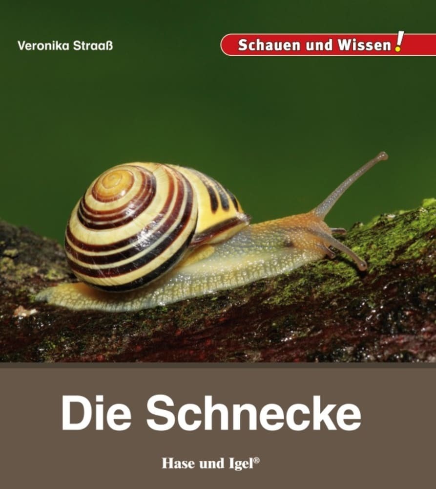 Die Schnecke main product photo