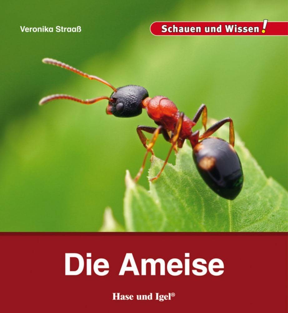 Die Ameise main product photo