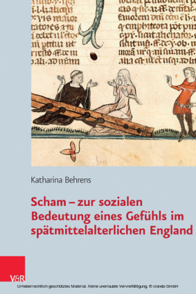 Scham - zur sozialen Bedeutung eines Gefühls im spätmittelalterlichen England