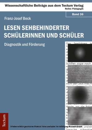 Lesen sehbehinderter Schülerinnen und Schüler
