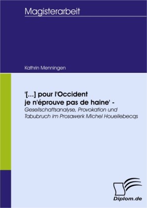 '[...] pour l'Occident je n'éprouve pas de haine' - Gesellschaftsanalyse, Provokation und Tabubruch im Prosawerk Michel Houellebecqs