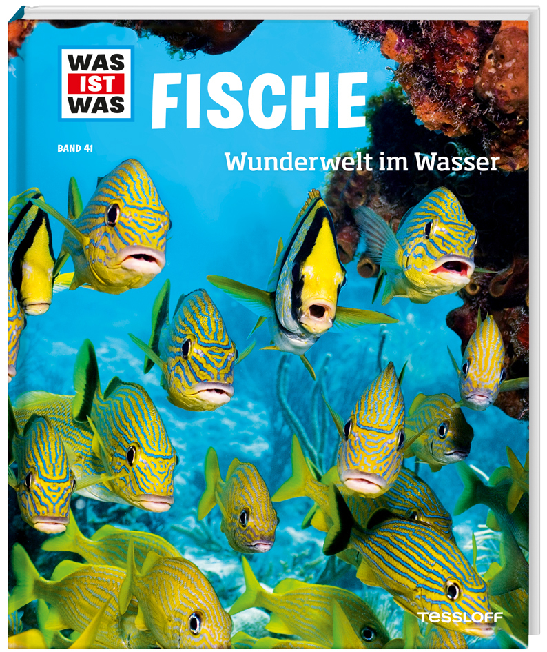 WAS IST WAS Band 41 Fische. Wunderwelt im Wasser main product photo
