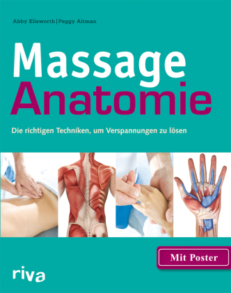 Massage-Anatomie, m. Poster