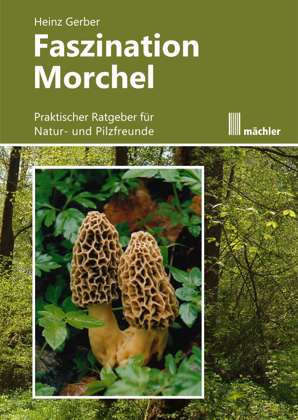 Faszination Morchel main product photo
