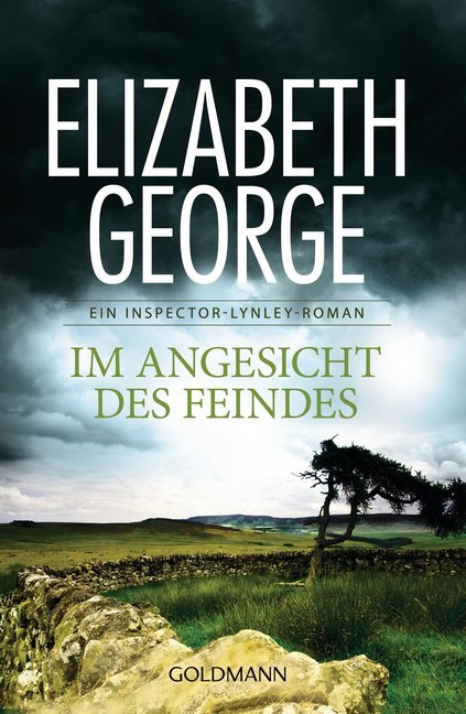 Im Angesicht des Feindes main product photo