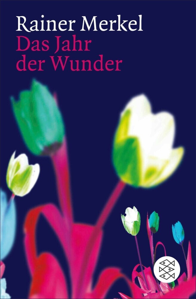 Das Jahr der Wunder main product photo