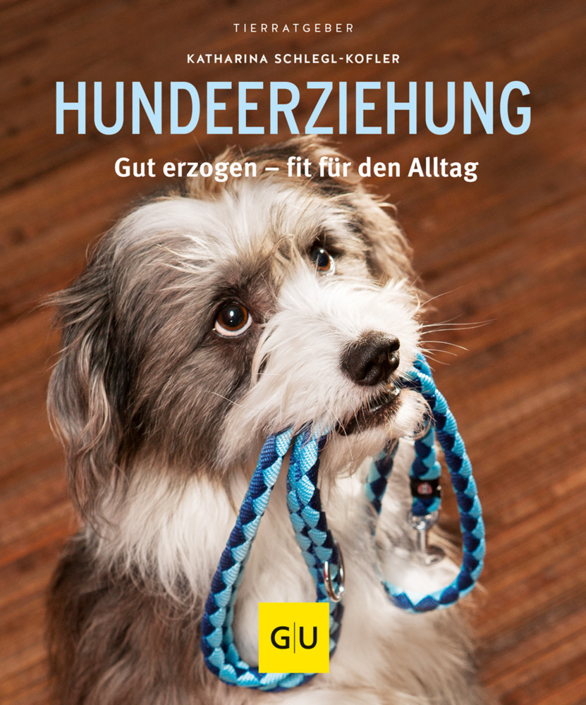 Hundeerziehung main product photo