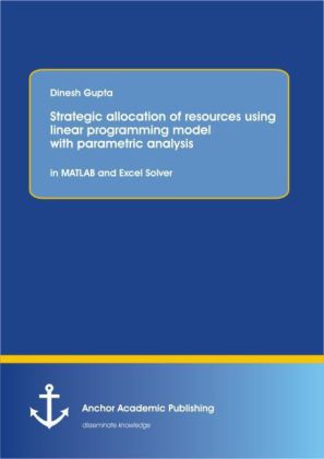 Strategic allocation of resources using linear programming model with parametric analysis: in MATLAB and Excel Solver