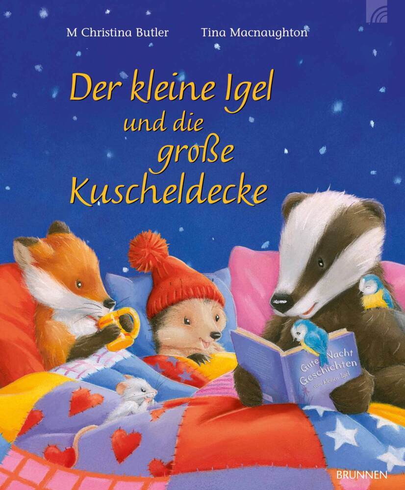 Der kleine Igel und die große Kuscheldecke main product photo