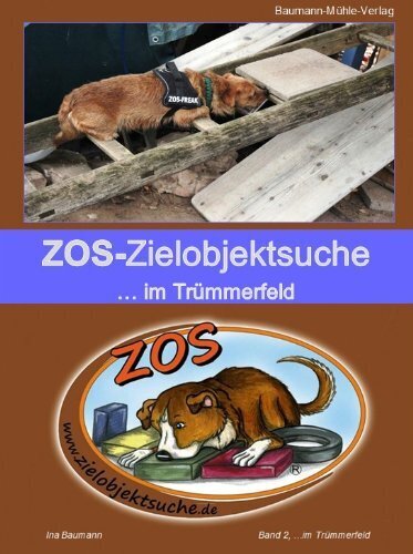 ZOS-Zielobjektsuche ... im Trümmerfeld main product photo