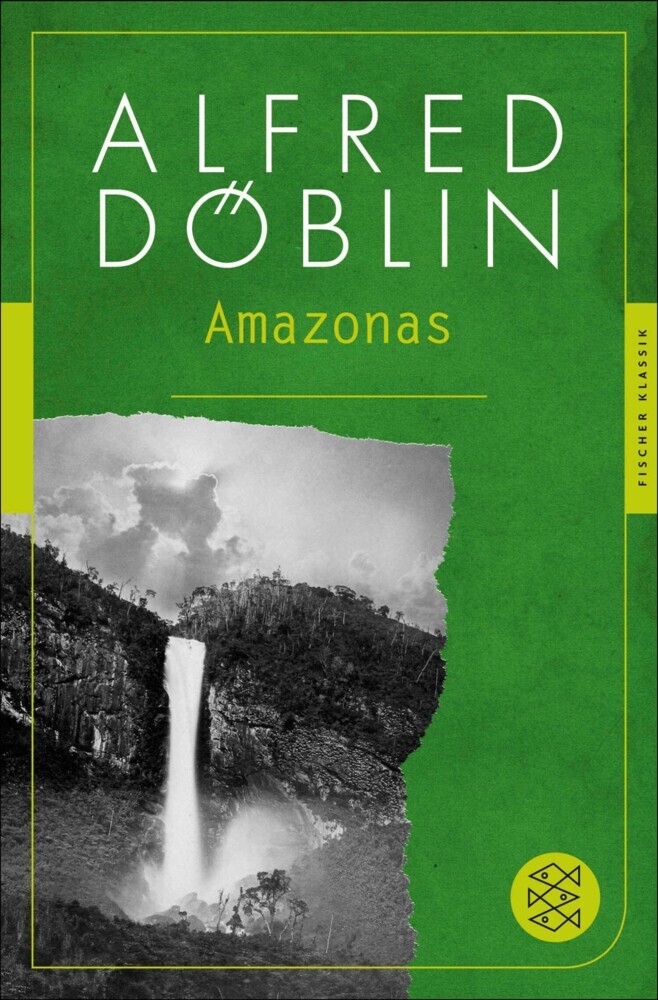 Amazonas main product photo