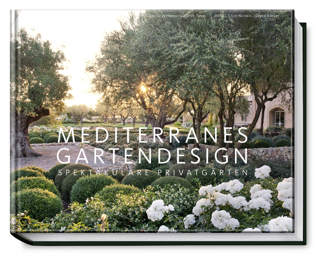 Mediterranes Gartendesign main product photo