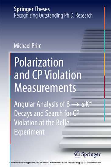 Polarization and CP Violation Measurements main product photo