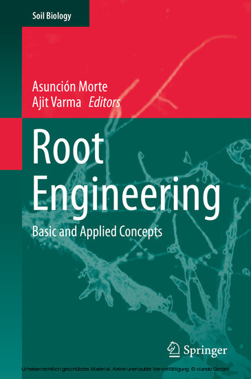 Root Engineering main product photo