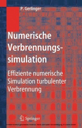 Numerische Verbrennungssimulation