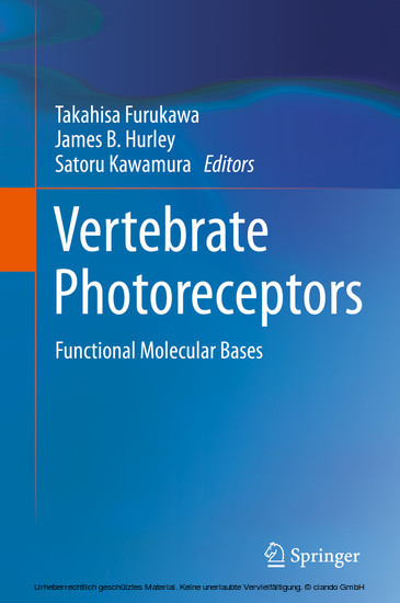 Vertebrate Photoreceptors main product photo