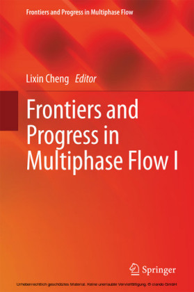 Frontiers and Progress in Multiphase Flow  I
