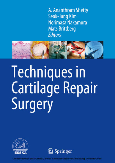 Techniques in Cartilage Repair Surgery main product photo
