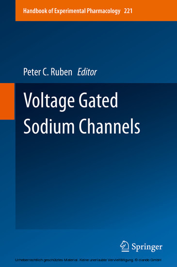 Voltage Gated Sodium Channels main product photo