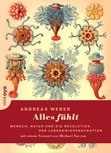 Alles fühlt main product photo