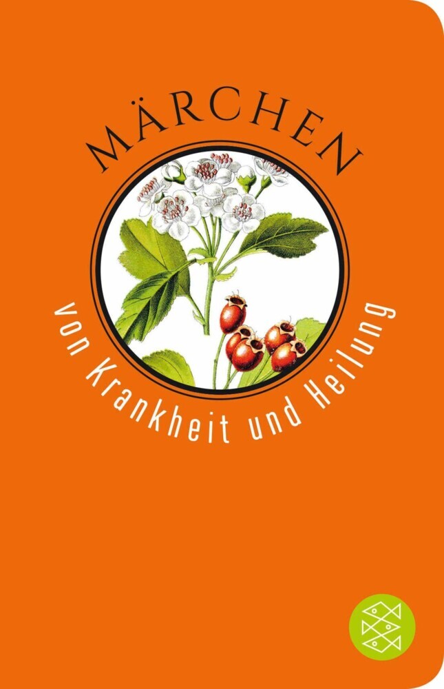 Märchen von Krankheit und Heilung main product photo