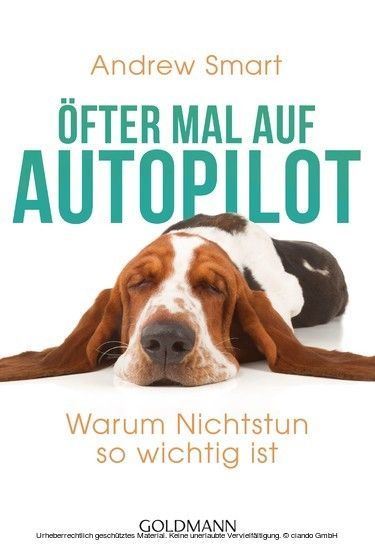 Öfter mal auf Autopilot main product photo