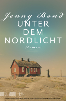 Unter dem Nordlicht