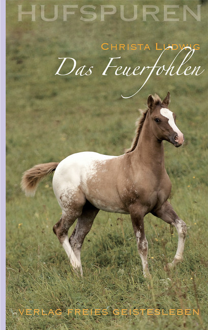Hufspuren: Das Feuerfohlen main product photo
