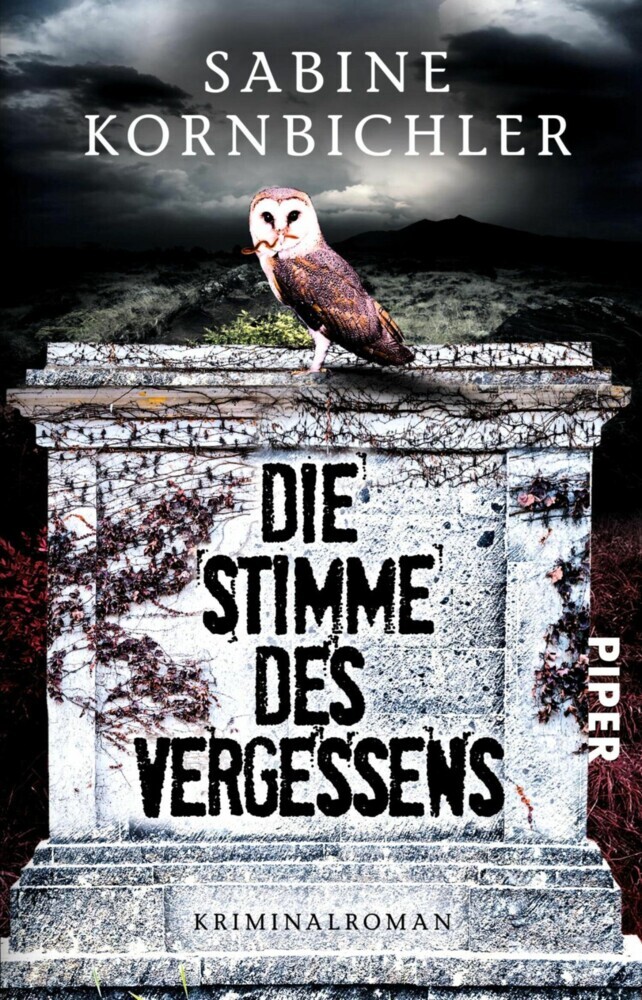 Die Stimme des Vergessens main product photo
