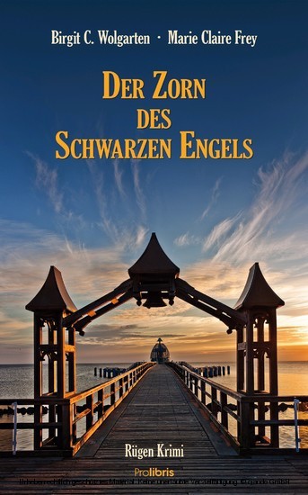 Der Zorn des schwarzen Engels main product photo