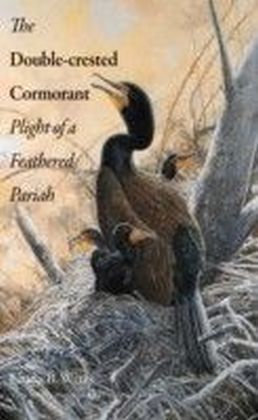 Double-crested Cormorant