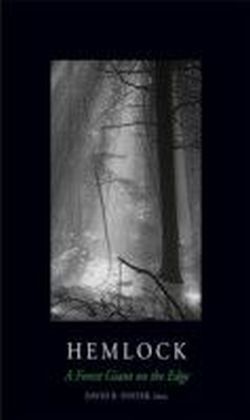 Hemlock