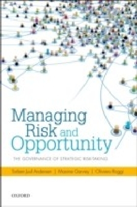 Managing Risk and Opportunity: The Governance of Strategic Risk-Taking