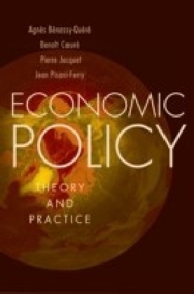 Economic Policy: Theory and Practice