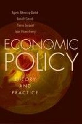 Economic Policy: Theory and Practice