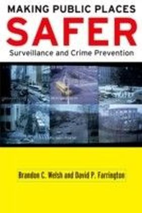 Making Public Places Safer: Surveillance and Crime Prevention main product photo
