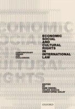 Economic, Social, and Cultural Rights in International Law: Contemporary Issues and Challenges
