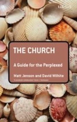 Church: A Guide for the Perplexed