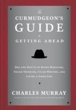 Curmudgeon's Guide to Getting Ahead